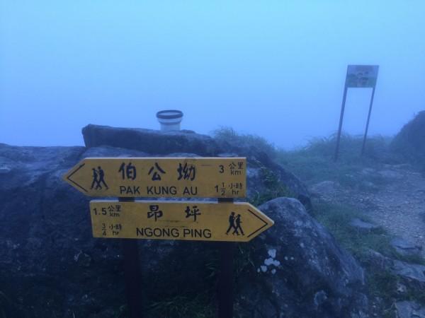 如约而至